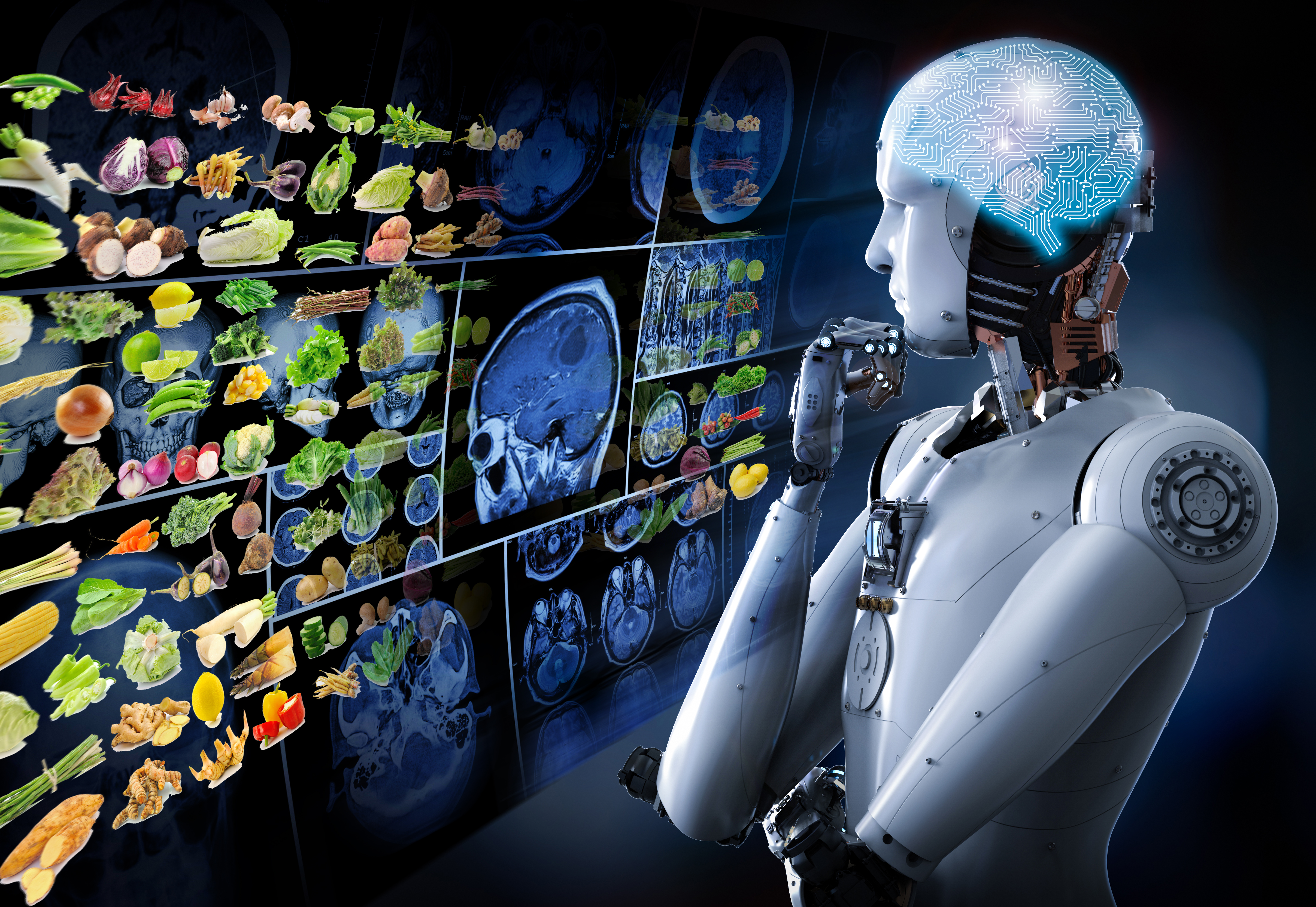 bigstock-Artificial-Intelligence-Brain-2074612289 - Copy - Copy.jpg